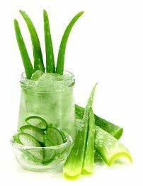 Healing Aloe Vera Gel