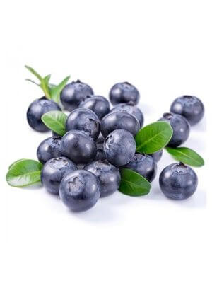 Cluster of fresh bilberries with green leaves