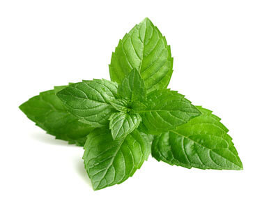 Herbal Peppermint Leaves
