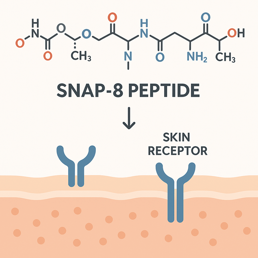 How The SNAP Mechanism Works