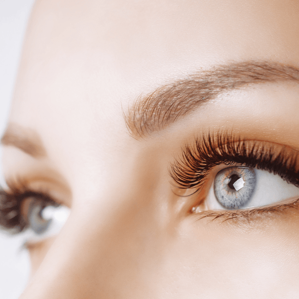 photo of woman's eyes and lashes