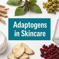 Adaptogens in Skincare: What They Are, Which Ones Are Trending, and How to Use