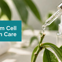 Best Stem Cell Skin Care: A Practical Guide