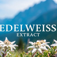 Edelweiss Flower Extract: The Ultimate Guide to Alpine Skincare