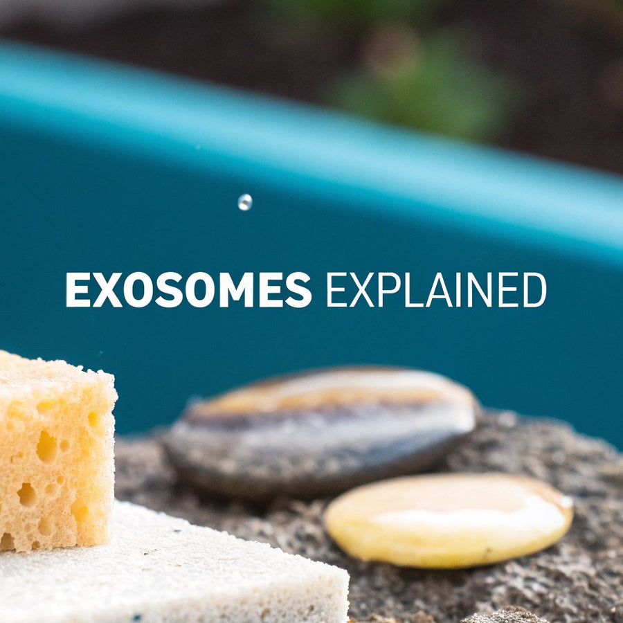 A Guide to Exosomes in Skincare for Radiant Skin