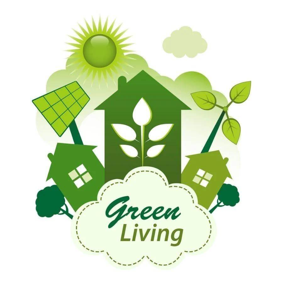 Making Smart Choices for Living Green and Healthy
