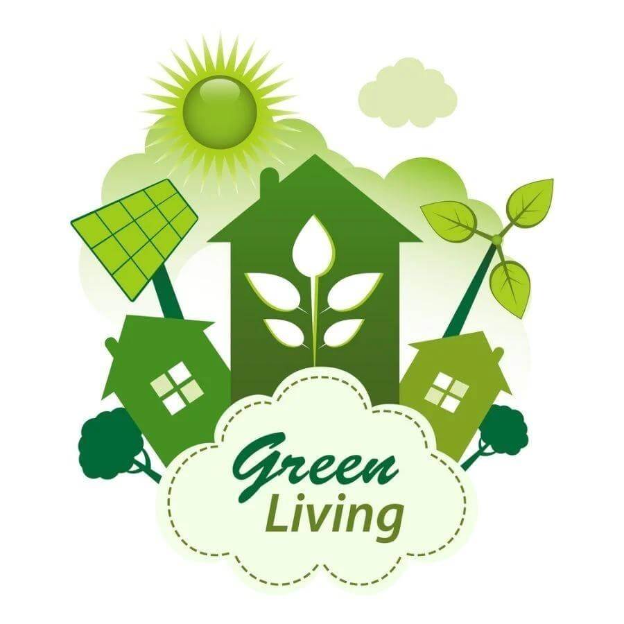 Going Green with Sustainable Products