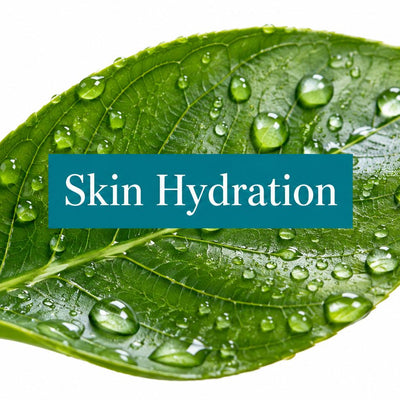 Natural Moisturizing Factors: A Skin Science Guide