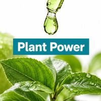 Organic Stem Cell Skin Care: Plant-Powered Benefits