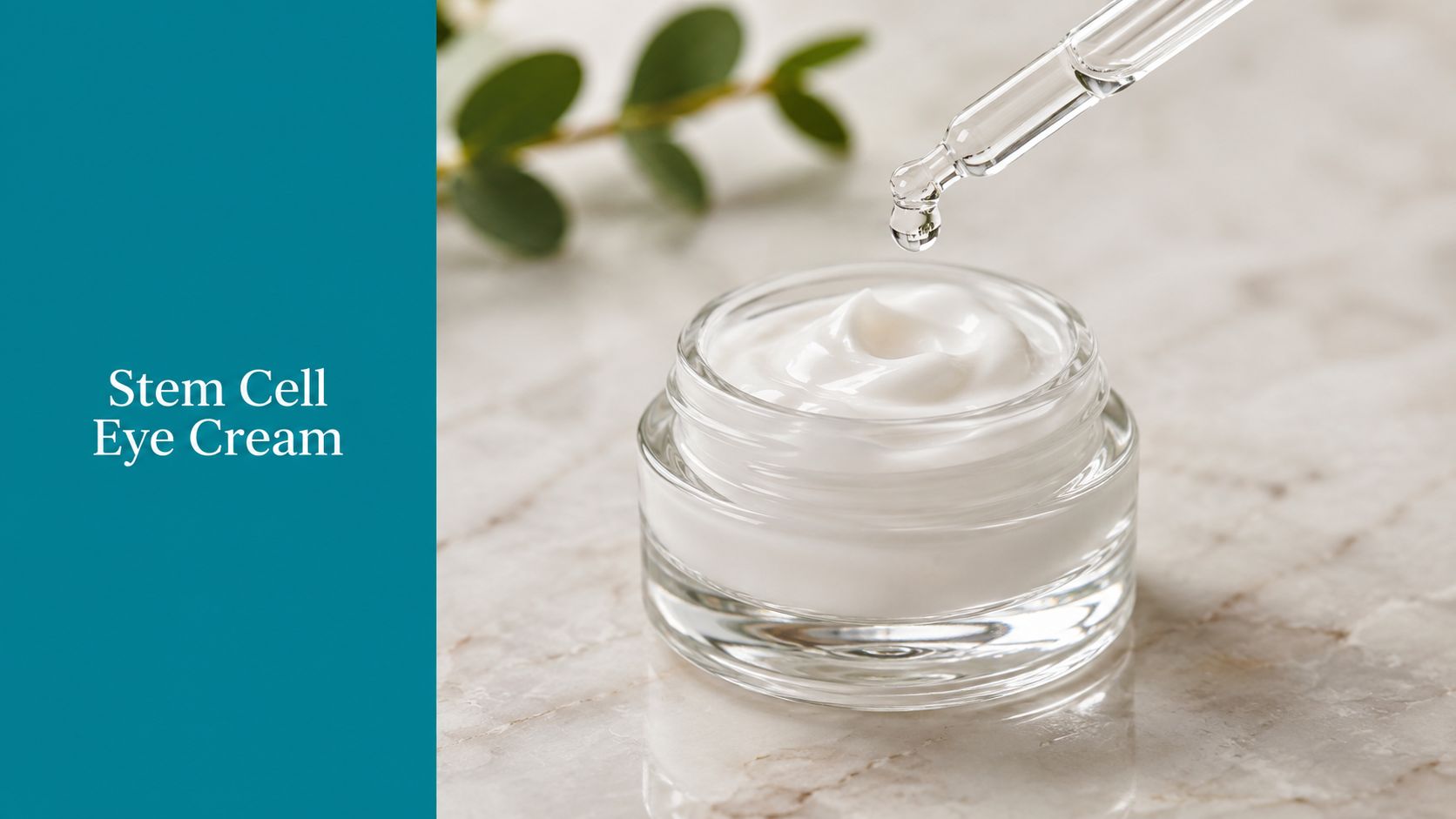 Stem Cell Eye Cream: A Formulator's Guide for 2026