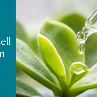 Stem Cell Facial Serum Guide: Evidence and DIY Tips