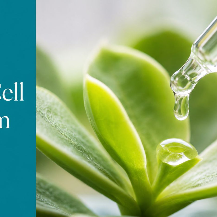 Stem Cell Facial Serum Guide: Evidence and DIY Tips