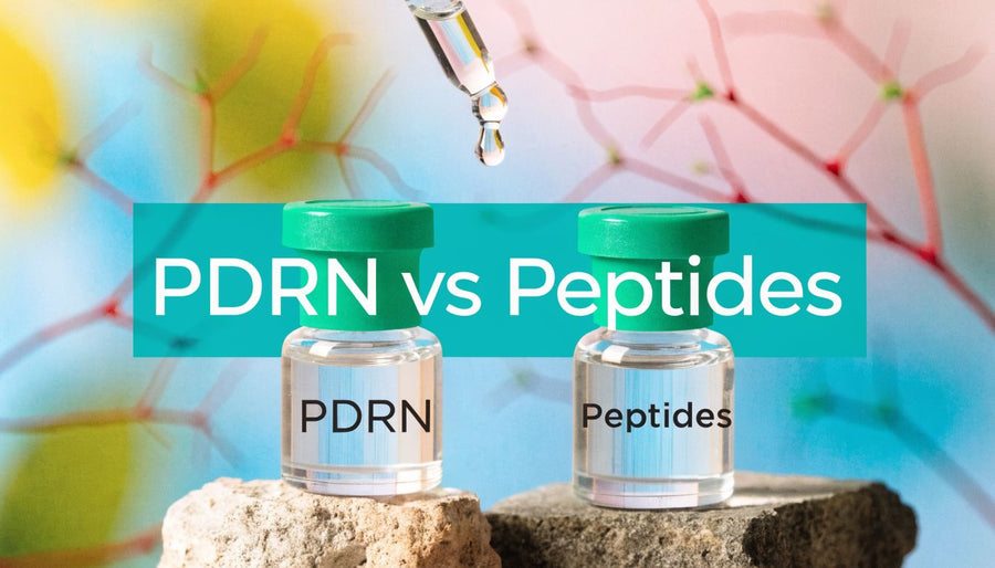 Vegan PDRN Red Microalga Porphyridium Cruentum: 2026 Guide
