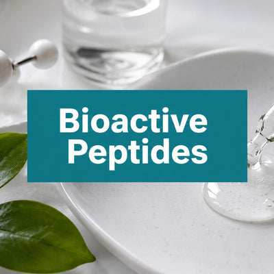 What Are Bioactive Peptides: A Skincare Science Guide