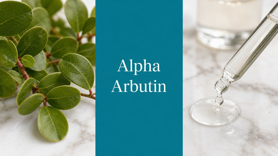What Is Alpha Arbutin? a Guide to Brighter Skin