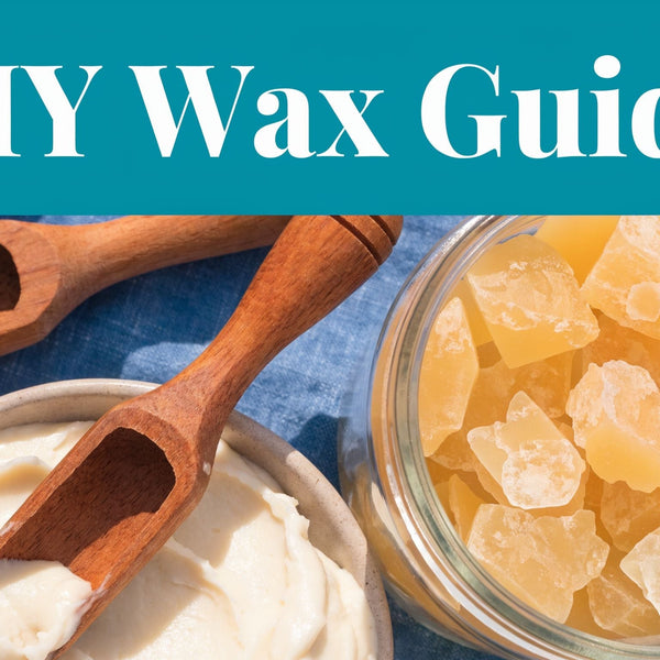 What Is Carnauba Wax? A DIY Skincare Guide