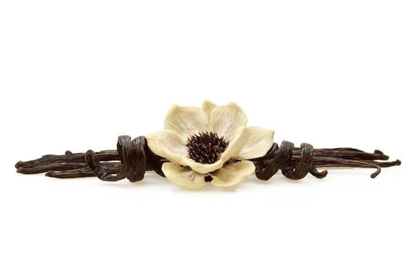 Vanilla Bean Essential Oil