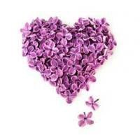 Stem Cells - Skin Perfection Natural and Organic Skin Care