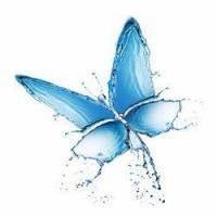 Hyaluronic Acid {HA} - Skin Perfection Natural and Organic Skin Care