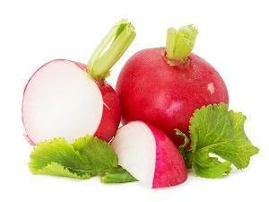Radish Root - Skin Perfection Natural and Organic Skin Care