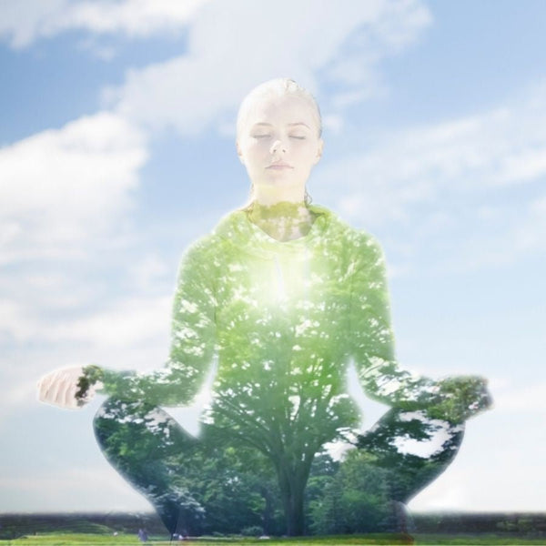 Body Care - Skin Perfection Natural and Organic Skin Care