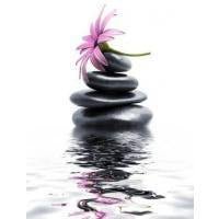 Bath & Body - Skin Perfection Natural and Organic Skin Care