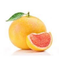 Grapefruit