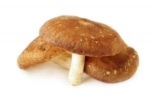 Mushroom - Skin Perfection Natural and Organic Skin Care
