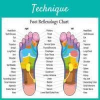 Basics of Reflexology