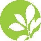 Normal - Skin Perfection Natural and Organic Skin Care