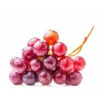 Resveratrol