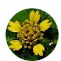 Chromocare™ - Skin Perfection Natural and Organic Skin Care