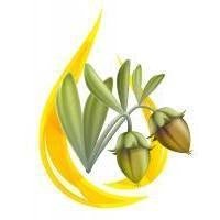 Jojoba Oil - Skin Perfection Natural and Organic Skin Care