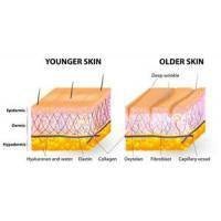 Collagen Boosting - Skin Perfection Natural and Organic Skin Care
