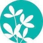 Combination - Skin Perfection Natural and Organic Skin Care