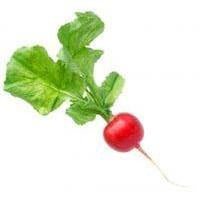 Preservatives - Skin Perfection Natural and Organic Skin Care