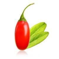Goji Berry