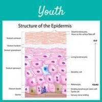 Home Remedies to Reduce Wrinkles - Skin Perfection Natural and Organic Skin Care