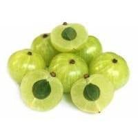 Amla Fruit Extract - Skin Perfection Natural and Organic Skin Care
