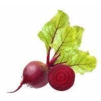 Alpha Lipoic Acid - Skin Perfection Natural and Organic Skin Care