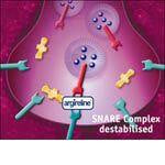 Argireline Peptide Solution