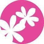 Oily or Blemish-Prone - Skin Perfection Natural and Organic Skin Care