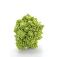 GABA - gamma aminobutyric acid