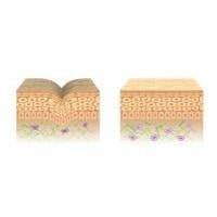 Collagen Stores and Smooth Skin