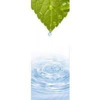 Oil-Free - Skin Perfection Natural and Organic Skin Care