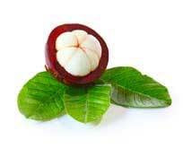 Mangosteen
