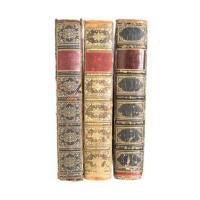 Learning Library - Skin Perfection Natural and Organic Skin Care