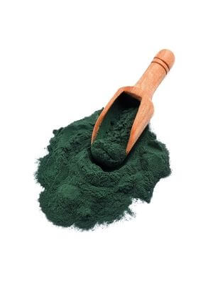 Vibrant blue-green algae powder piled with a wooden scoop partially filled, showcasing its rich color and texture