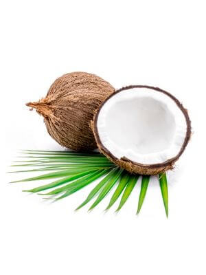 Whole coconut and a half showing the white flesh, accompanied by green palm fronds