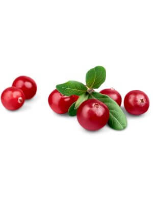 Glossy red cranberries with fresh green leaves in a scattered arrangement